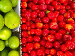 Feira do Parque Ceci Cunha passa a ser realizada no Mercado do Artesanato a partir de sábado (20)