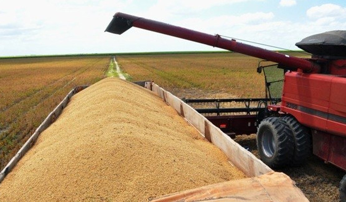 Alagoas promove última colheita de soja em 2015