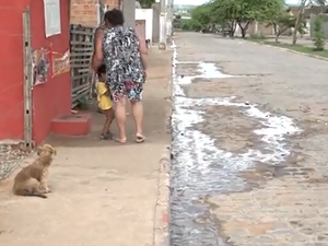 [Vídeo] Moradores de residencial em Arapiraca denunciam desperdício de água e esgoto estourado