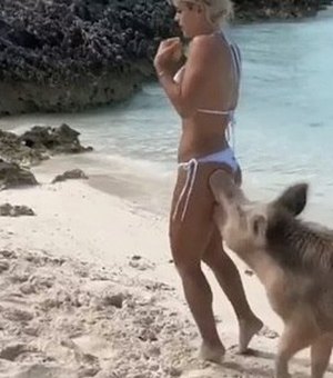 Modelo é mordida por porco selvagem durante passeio em praia 