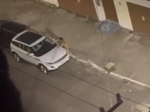 [Vídeo] Veja momento em que mulher quebra carro de ex-apresentador por suposto calote