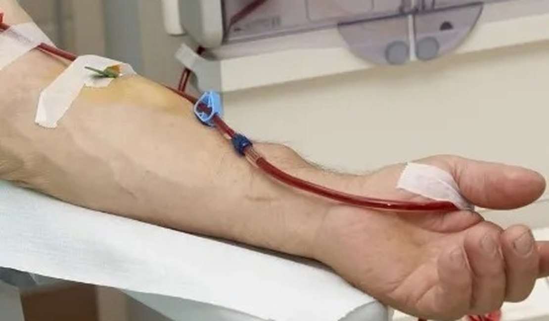 Testemunhas de Jeová flexibilizam regra sobre doação de sangue; entenda