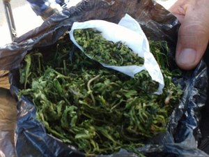 Polícia Civil apreende drogas e recupera motos roubadas na zona rural