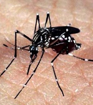 Governo estima que vacina contra dengue deverá custar até R$ 400