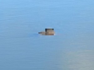 Corpo é encontrado boiando no Lago da Perucaba, em Arapiraca