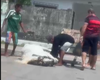 Moradores denunciam maus-tratos a cavalo e acúmulo de lixo no Benedito Bentes