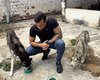 Em Arapiraca, deputado resgata animais com anorexia, anemia e infecção, dono foi detido