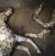 Cavalos petrificados em um antigo estábulo são encontrados por arqueólogos 