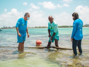 Piscinas Naturais da Pajuçara recebem nova sinalização