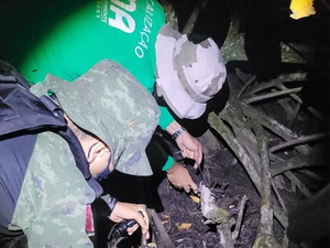 Mais de 70 caranguejos são resgatados de cativeiro em Arapiraca e suspeitos são autuados