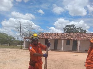 Jiboia de 2,5 metros é capturada em Olho D’Água das Flores
