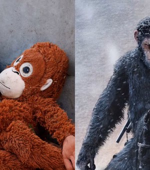 Punch: o macaquinho que todo mundo quer que vire o César de ‘O Planeta dos Macacos’