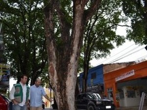 Rua das Árvores será interditada nesta quinta