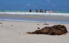 Praia da Bruna é uma das mais atrativas de Maragogi