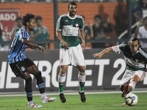 Zé Roberto chega ao Verdão para ser referência e parceiro do Mago