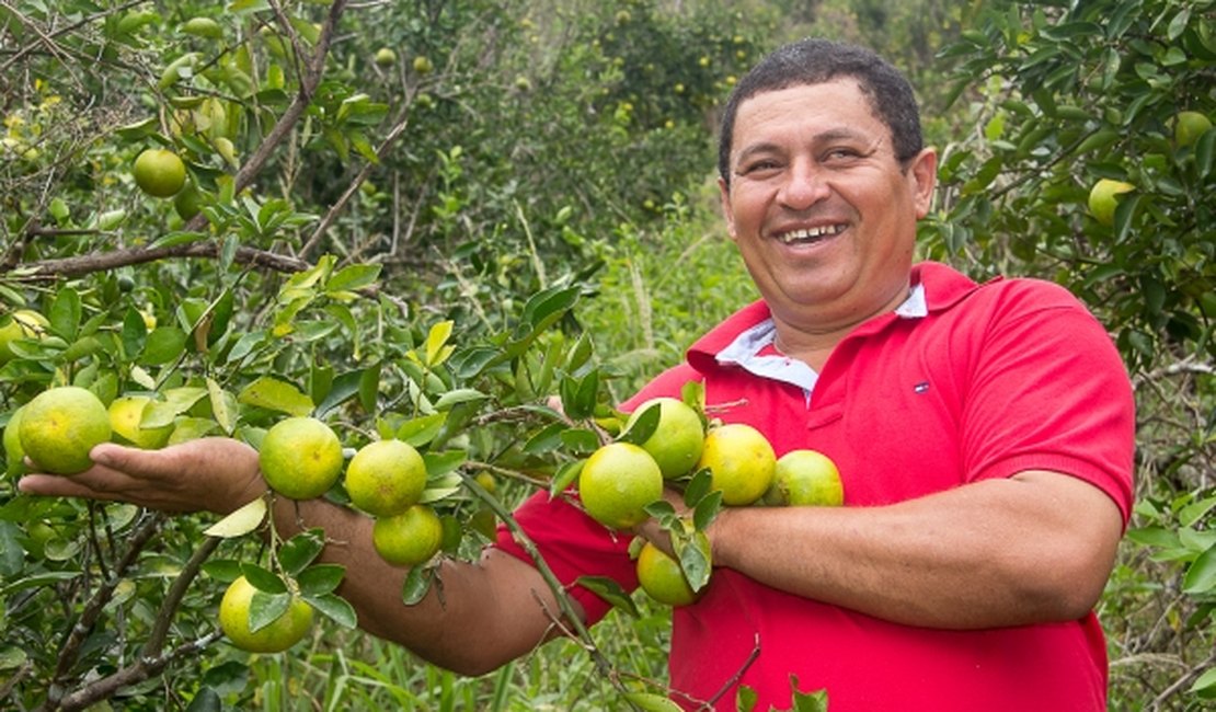 Dados do PIB dos municípios alagoanos é divulgado; o destaque do ano é Santana do Mundaú