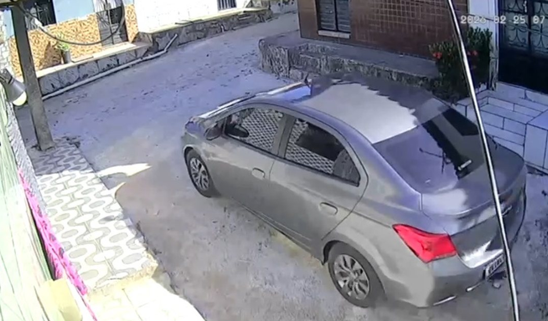 Homem que atropelou e matou cadela no São Jorge se apresenta à polícia