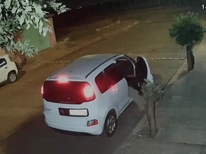 Cachorro é abandonado e corre atrás do carro do tutor