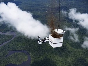 [VIDEO] Paraquedista lança mais de 100 milhões de sementes em área desmatada da Amazônia