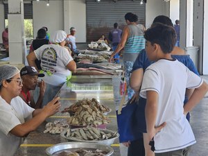 Centro Pesqueiro é opção de compras de peixes e frutos do mar