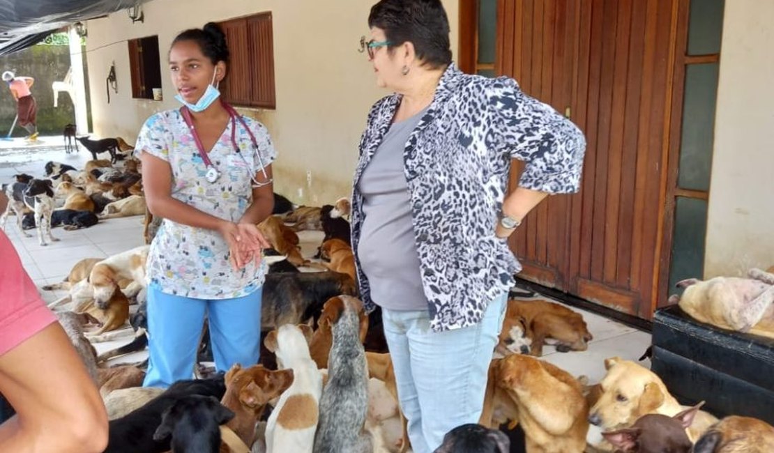 OAB Alagoas já recebeu 45 denúncias de maus-tratos a animais em 2025