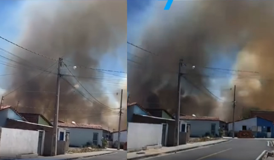 Incêndio volta a atingir zona rural de Cacimbinhas pelo segundo dia consecutivo