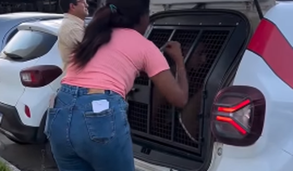 'Você não tem necessidade de fazer isso': mulher grita com preso por suspeita de roubos