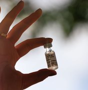 Fiocruz entrega 3,9 milhões de doses da vacina contra covid-19 ao PNI