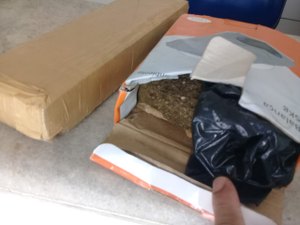 Policiais realizam apreensão de maconha no bairro do Trapiche