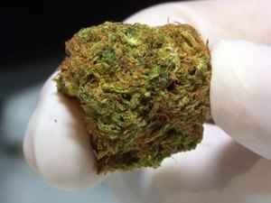 Após denúncia anônima, polícia prende motorista com 8 kg de maconha em veículo