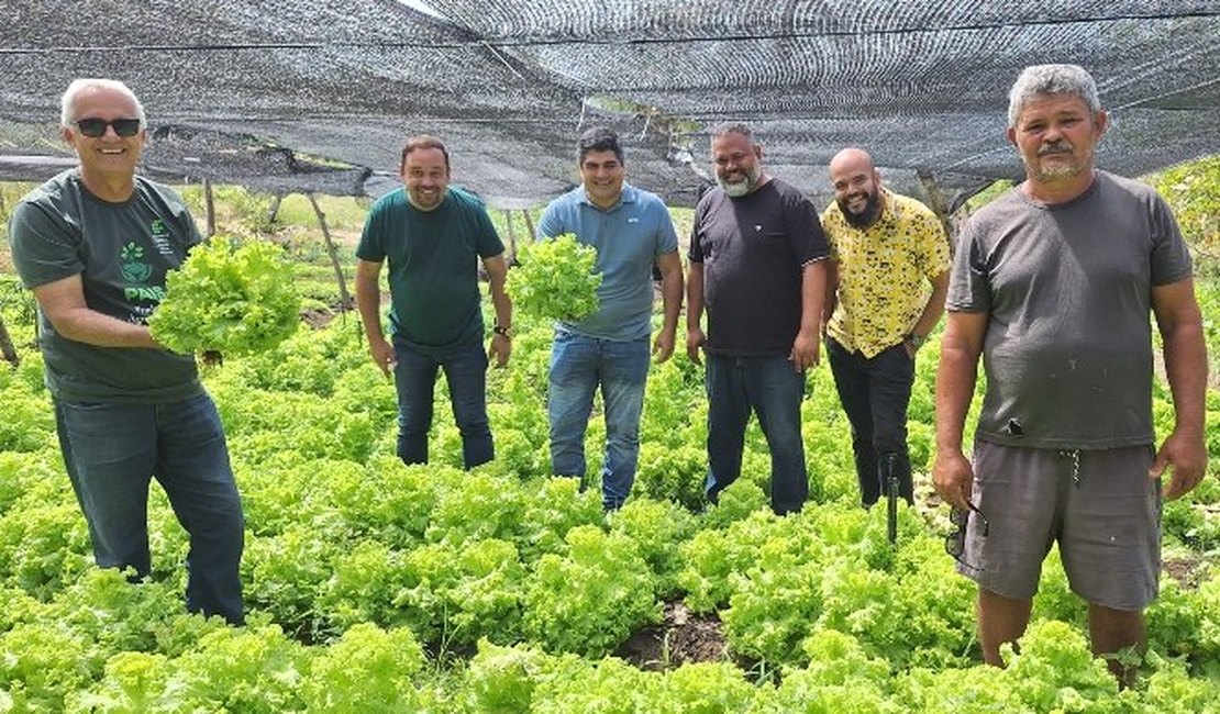 Projeto de Agricultura familiar gera renda em assentamento rural de Maragogi