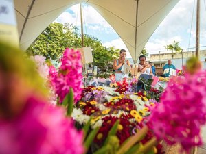 Arapiraca se torna a capital das flores neste mês das mães