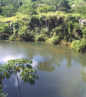Dobra o tamanho das áreas preservadas em Reservas Particulares de Alagoas