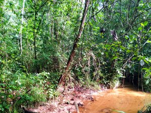 Próximo desafio da Liga Alagoana de Trekking será em Satuba