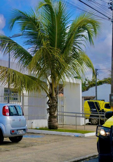 Jovem fere homem com régua de pedreiro em São Luís do Quitunde