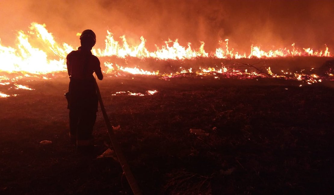 Incêndio de grandes proporções atinge área perto de resort em Maragogi