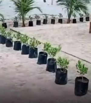 Bar bloqueia faixa de areia em Marechal Deodoro e é notificado pela prefeitura