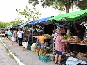 Sefaz apresenta minuta para regulamentar as feiras itinerantes