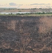 [Vídeo] Incêndio que deixou Arapiraca coberta por fumaça teve início na zona rural de Lagoa da Canoa