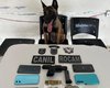Cão farejador ajuda a prender trio com arma de fogo e drogas em Arapiraca