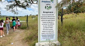 [Vídeo] Festa dos 101 anos de Arapiraca tem desfile, inaugurações e show de Claudia Leitte