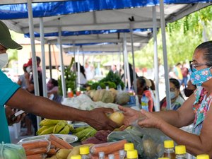 Emater já distribuiu mais de 900t de alimentos para região do Alto Sertão