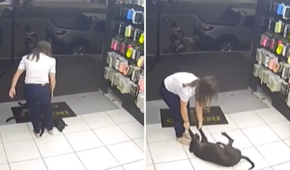 Cachorro atrapalha vendedoras a fecharem loja em Caldas Novas e viraliza na web;