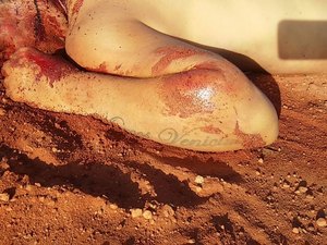 Corpo de homem  é encontrado em Igreja Nova