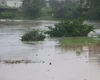 Defesa Civil monitora rios de Alagoas após chuvas intensas; risco de transbordamento preocupa