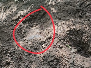 Família encontra corpo de jovem desaparecido em cova rasa em Fernão Velho