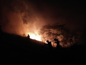 Incêndio atinge mata fechada e pasto de fazenda em União dos Palmares