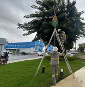 Prefeitura inicia montagem da Vila de São João no Parque do Centenário