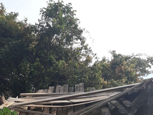 Ponte de madeira desaba na Zona rural de Pindoba