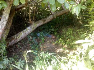 Polícia registra duplo homicídio na zona rural de São Luís do Quitunde